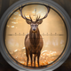 Deer Hunter Hunting Games