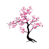 Timefully - Meditation Timer