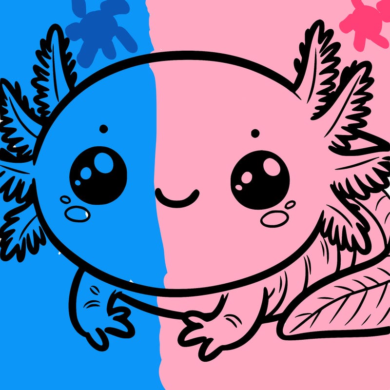 axolotl with big eyes happy smile wiggly gills