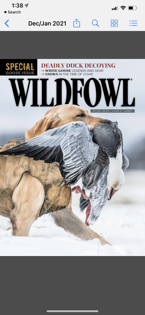 Wildfowl Magazine - Wildfowl Magazine cover showing a hunting dog with a goose