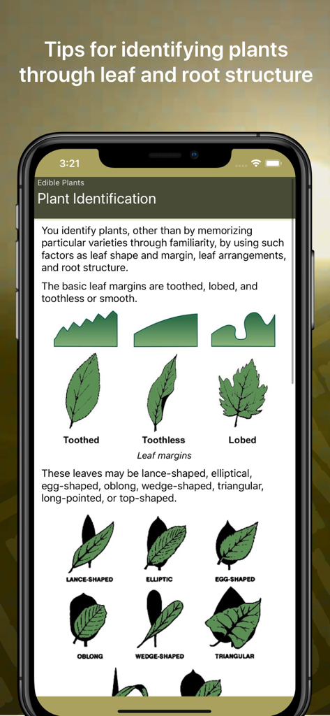 Wild Plant Survival Guide - Application Guide de survie des plantes sauvages affichant les caractéristiques d'identification des feuilles, notamment leur forme et leurs marges.