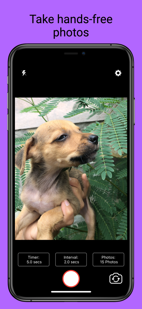 Selfier -Take handsfree photos - Selfier app camera interface showing customizable timer and interval settings for hands-free photography.