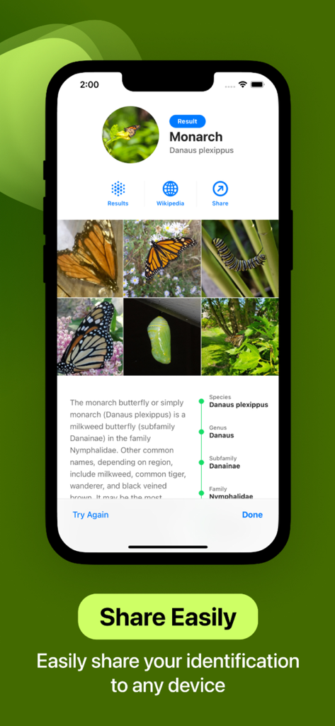 Insect Identifier - Utilities App | MWM