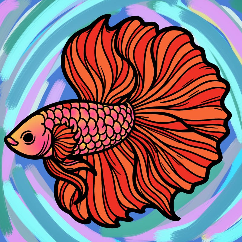 betta fish