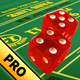 Casino Craps Pro 3D