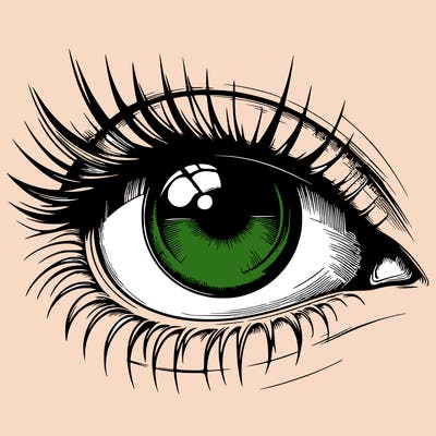realistic eye