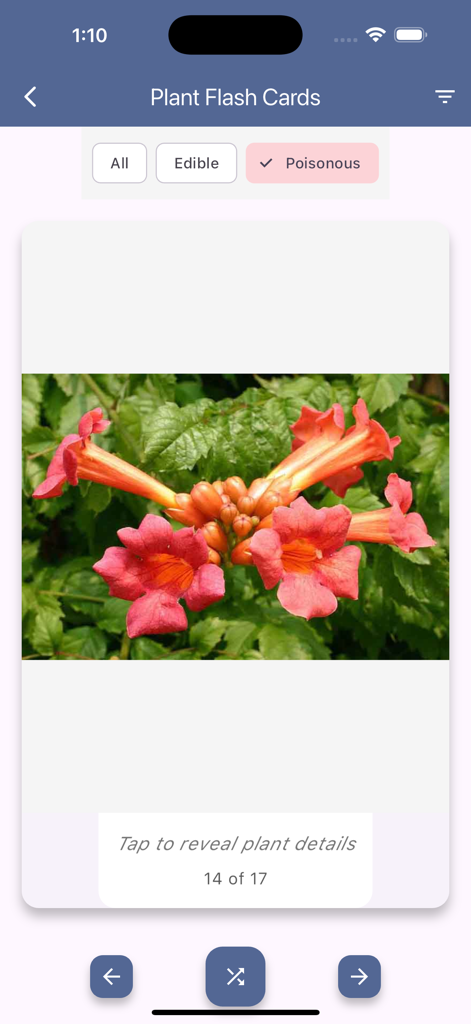 Edible and Poisonous Plants - Digital flashcard for learning to identify poisonous plants on a mobile app.