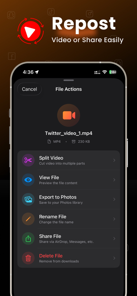 Blaze app interface displaying file actions for a downloaded video including split, export to photos, and share options.