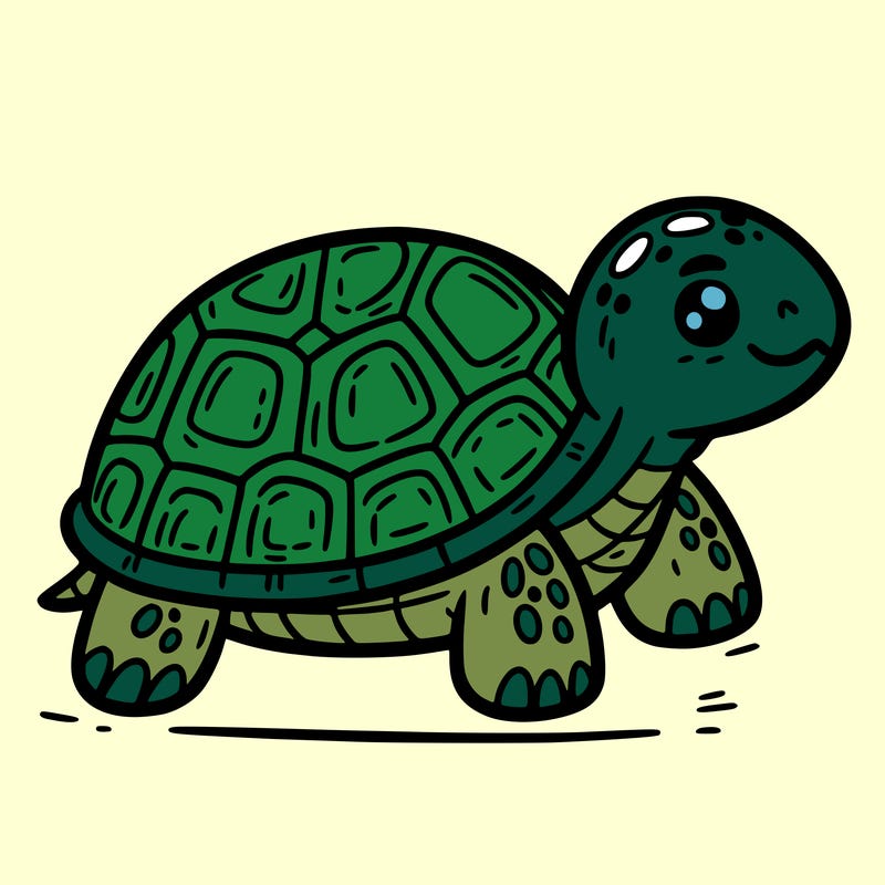 turtle