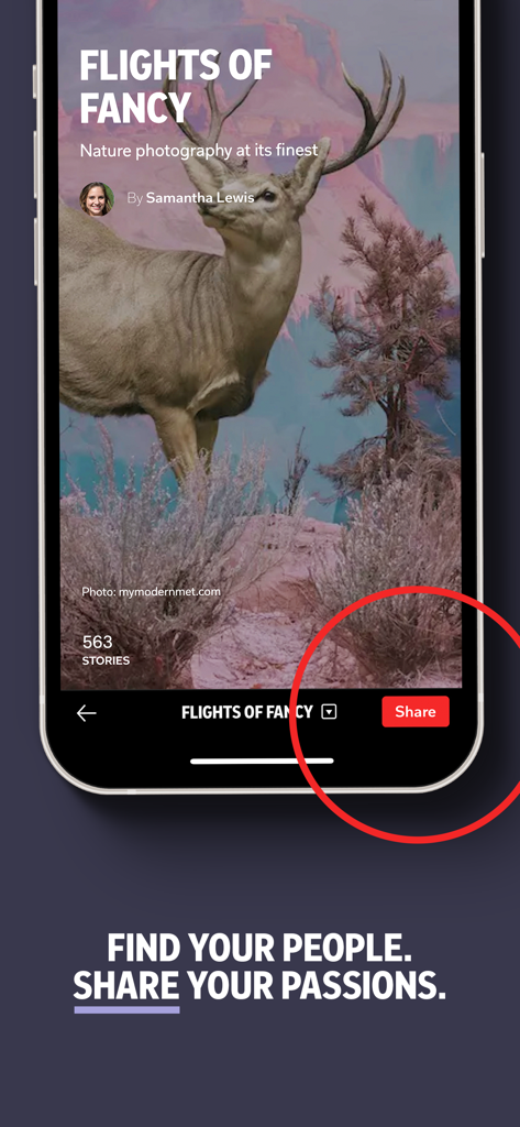 Flipboard app interface displaying a curated photography magazine and a share button