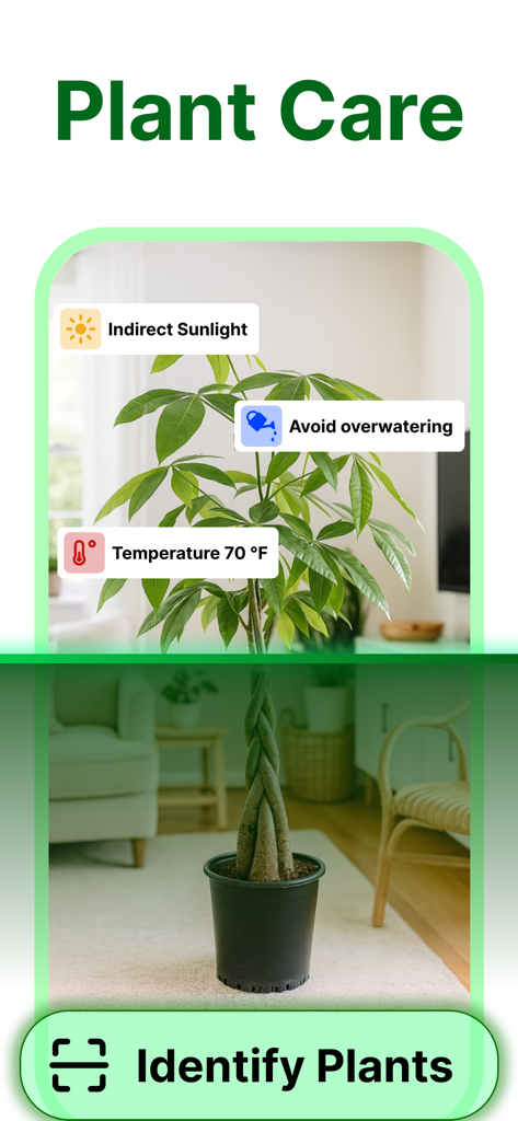 Plant Identifier - PlantScan - Pantalla de la aplicación móvil que muestra instrucciones de cuidado para una planta de interior, incluyendo consejos de luz solar y riego