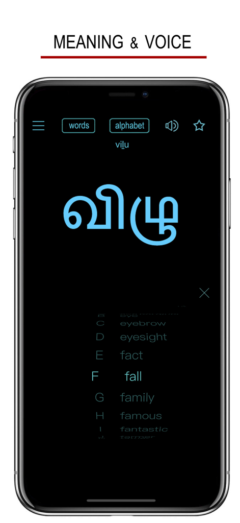 Tamil Words & Writing - Interfaz de la aplicación Palabras y Escritura Tamil que muestra la escritura Tamil para la palabra 'fall' con una lista de palabras en inglés