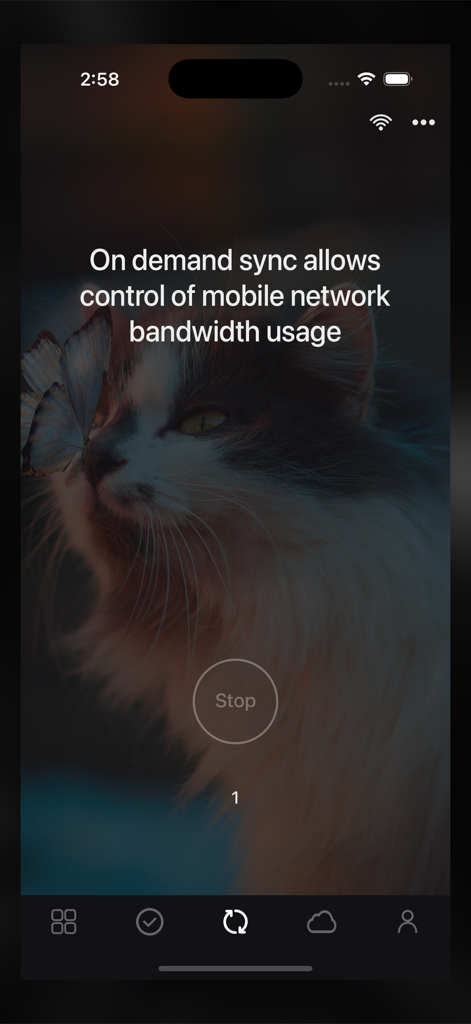 Sync with OneDrive - Sync with OneDrive app interface displaying on demand sync options for mobile network bandwidth control