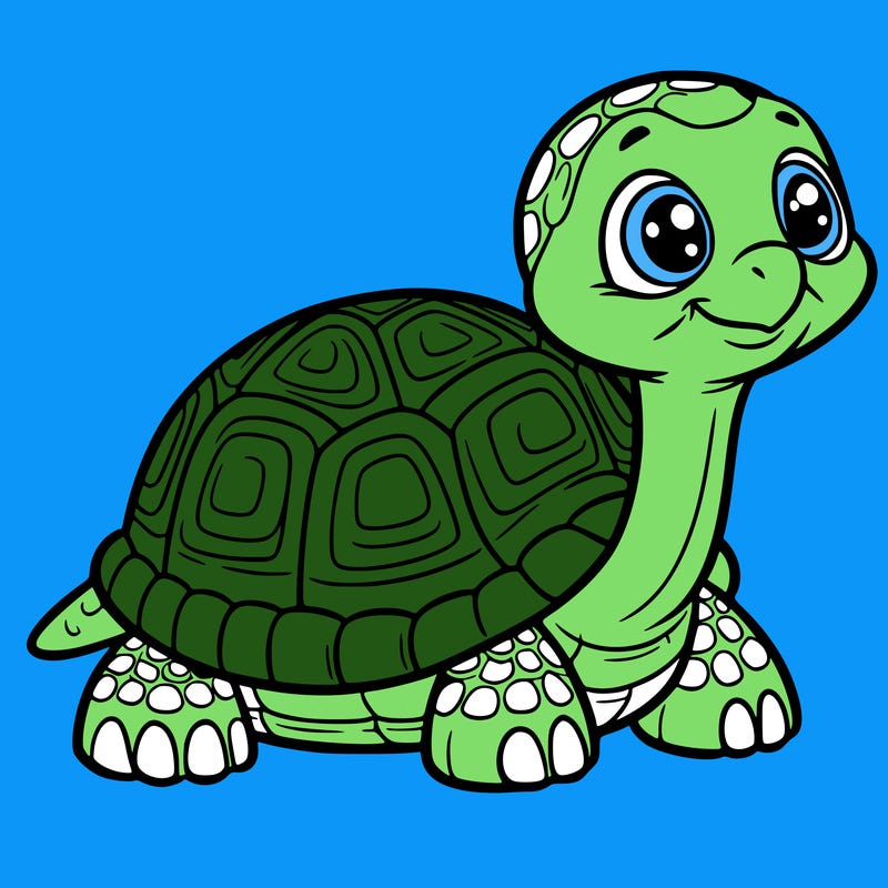 tortoise