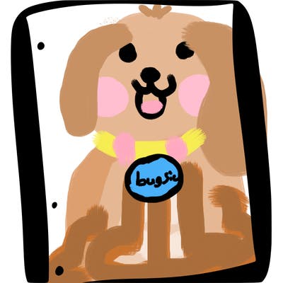 blank white page with nothing drawn on it