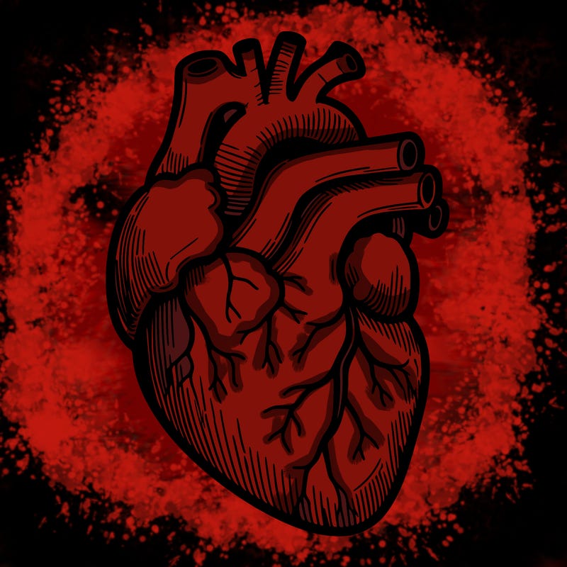 a realistic human heart