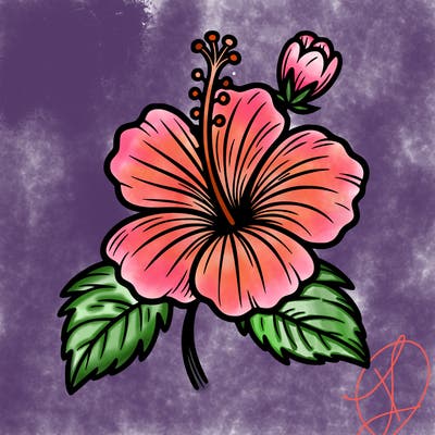 hibiscus flower