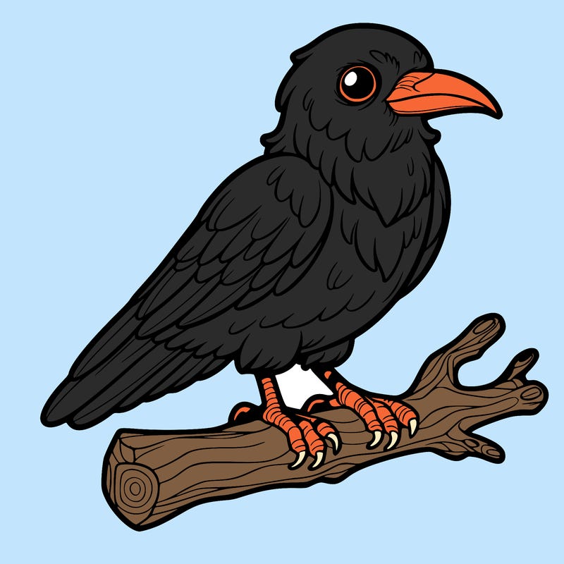 raven on a branch