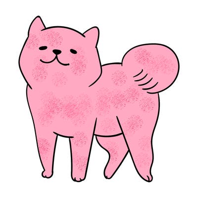 animals_29