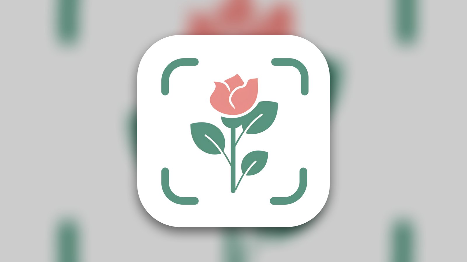 AI Plant Identifier Flower App - Education App | MWM