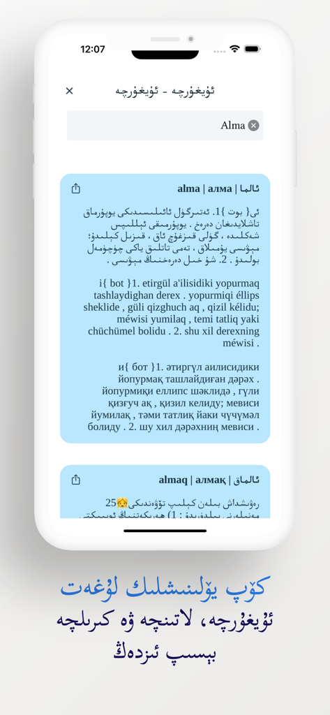 Multilingual Uyghur dictionary interface showing word definitions in Arabic Latin and Cyrillic scripts