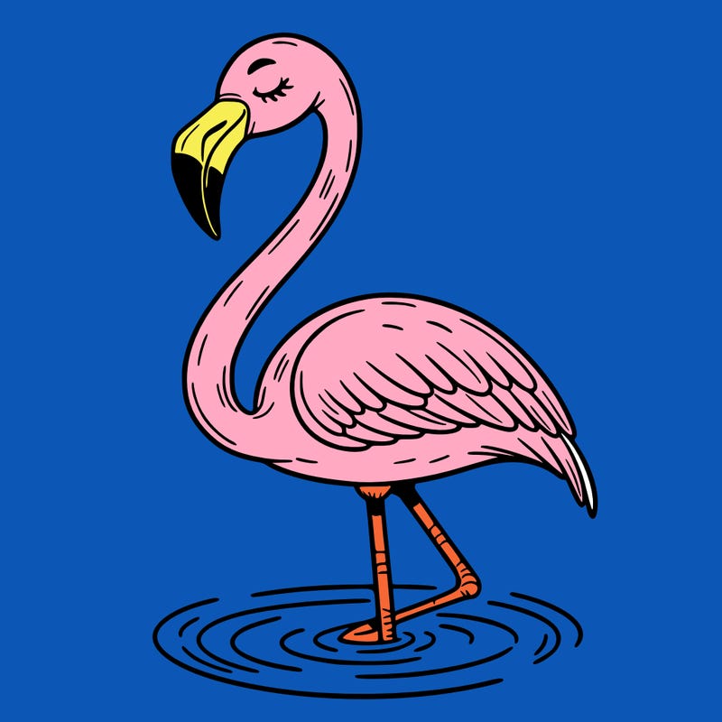 flamingo