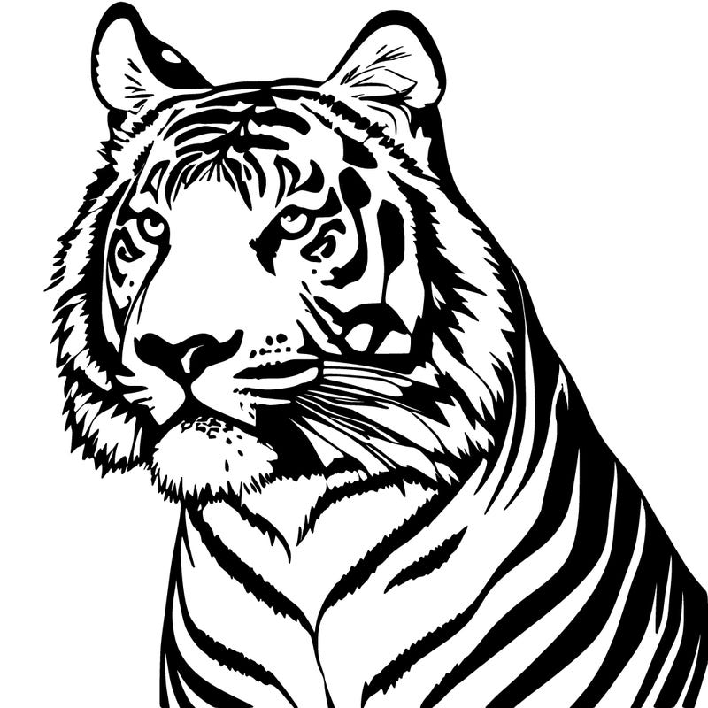 tiger
