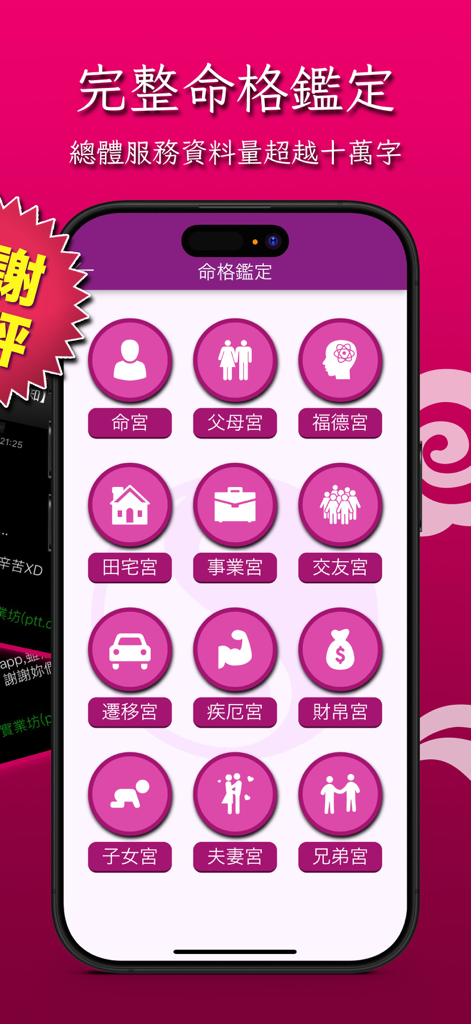 Interface showing twelve life palaces in Zi Wei Dou Shu astrology app