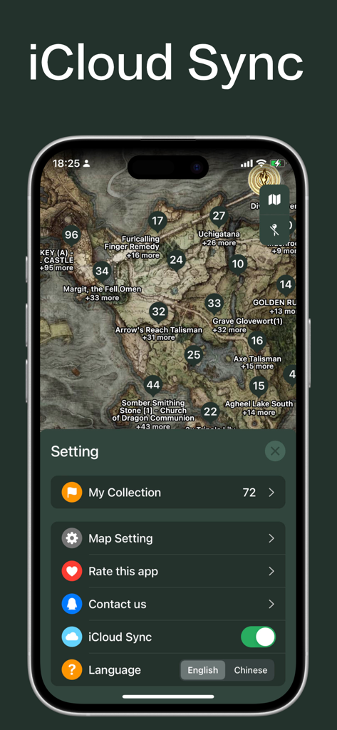 Aplicación complementaria Mapa de Elden Ring mostrando la función de sincronización de iCloud en la configuración