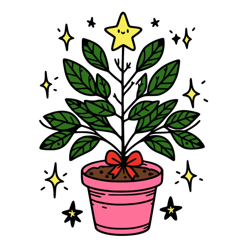 christmas plant