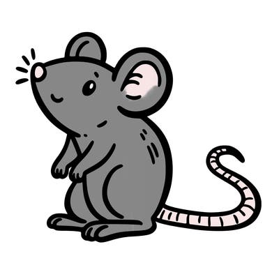 rat