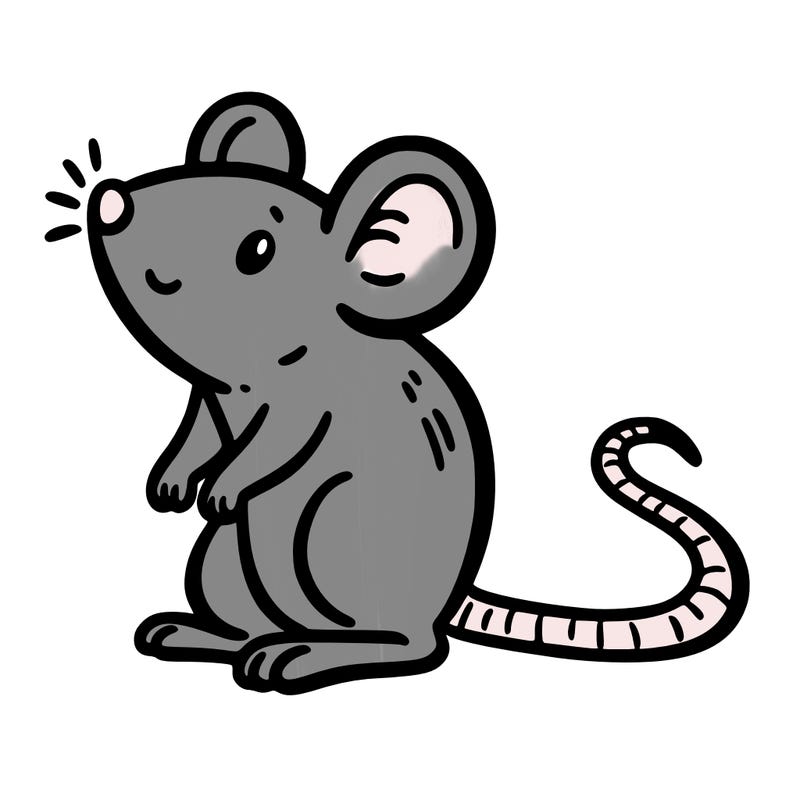 rat
