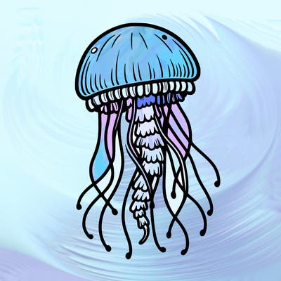 jellyfish