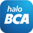 Halo BCA