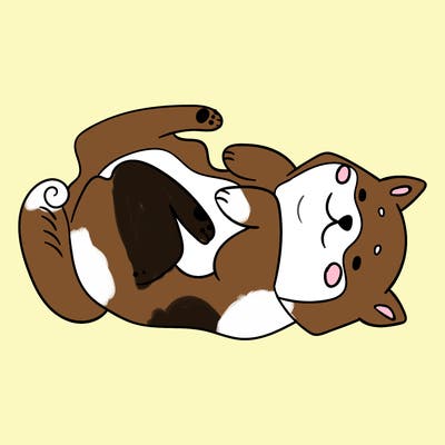 animals_30