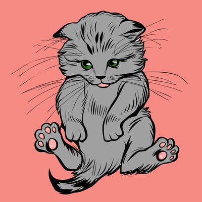 animals_20