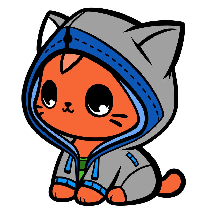 a cat with a hoddie on