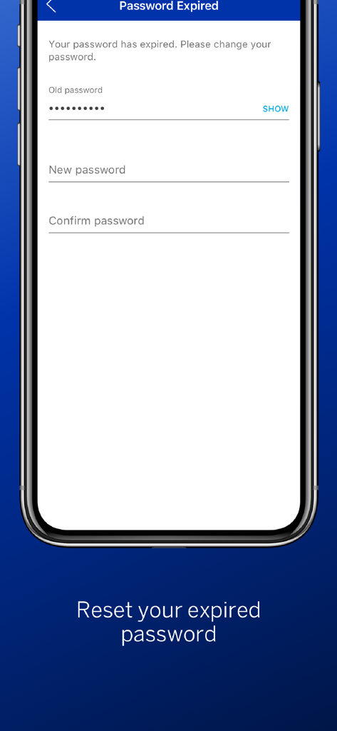 Business Online - Écran de l'application Business Online de Standard Bank pour la réinitialisation d'un mot de passe expiré, affichant les champs pour l'ancien et le nouveau mot de passe