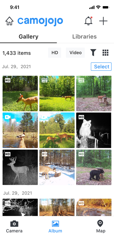 Galleria dell'app Camojojo che mostra una griglia di foto e video di fauna selvatica inclusi cervi e orsi.