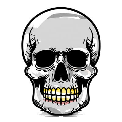 skull