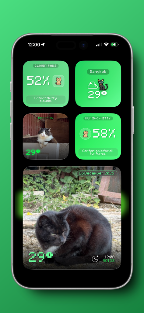 A variety of green and black aesthetic weather widgets featuring cats and pixel art on an iPhone