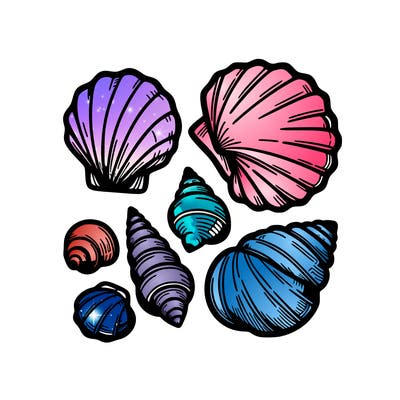 shells