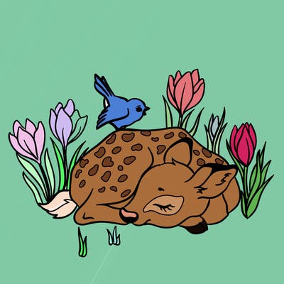 animals_61