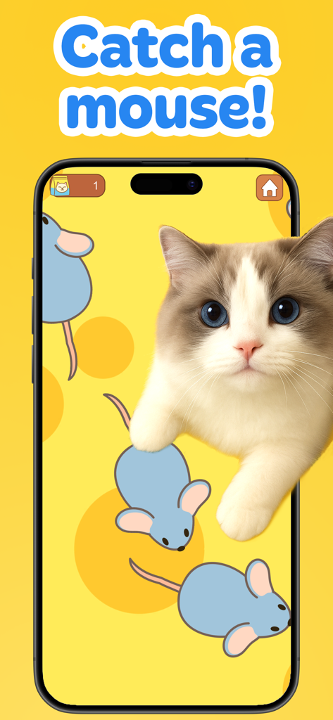 Games for Cats: Fish & Mouse - A fluffy cat interacting with a mouse catching game on a smartphone screen