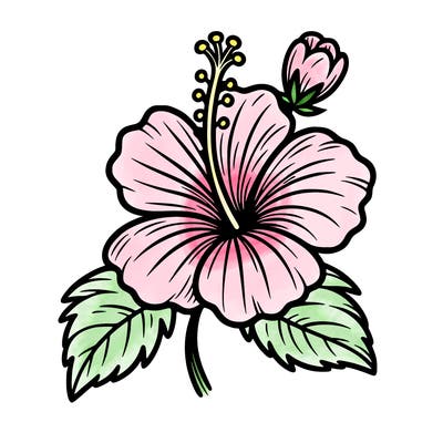hibiscus flower