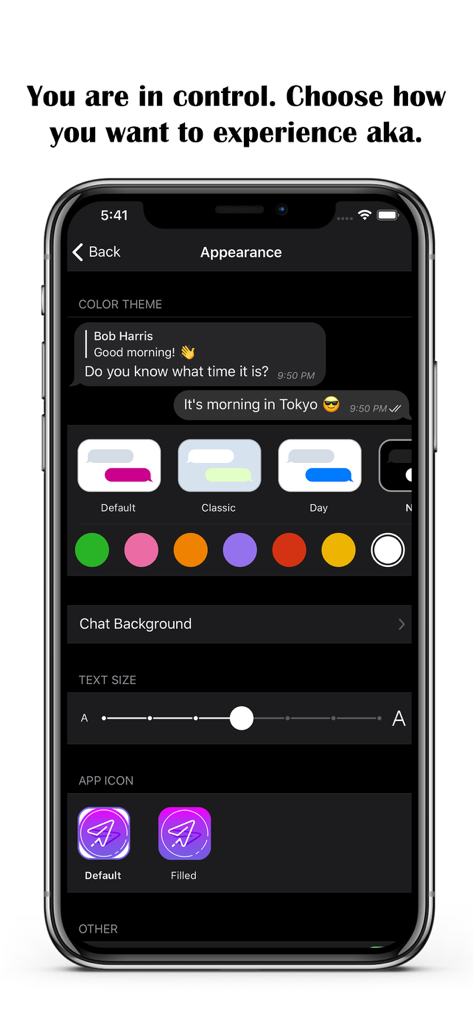 Mobile screen showing appearance customization options for the aka telegram client including themes and text size