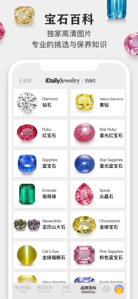 每日珠宝杂志 · iDaily Jewelry - A gemstone encyclopedia screen from the iDaily Jewelry app showing a grid of different gemstones with their names in English and Chinese.