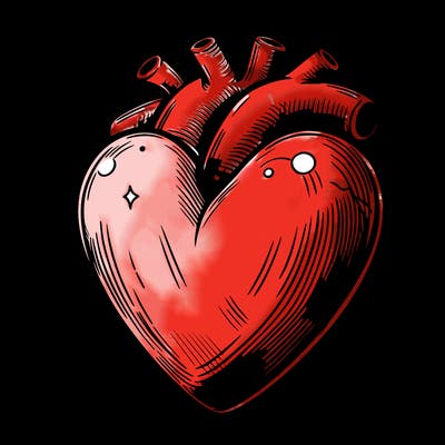 realistic heart