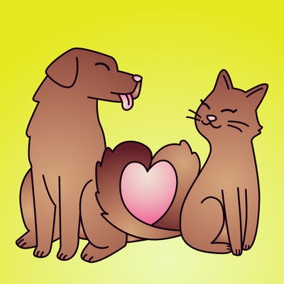 animals_22