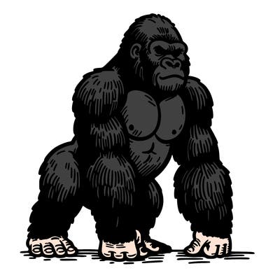 gorilla